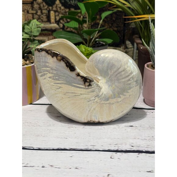 Pearlized Nautilus Shell Planter Or Display Accent - Picture 1 of 8